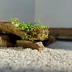 Unetti Oasis De Confort & Terraza Zen - 2 Plantas *
