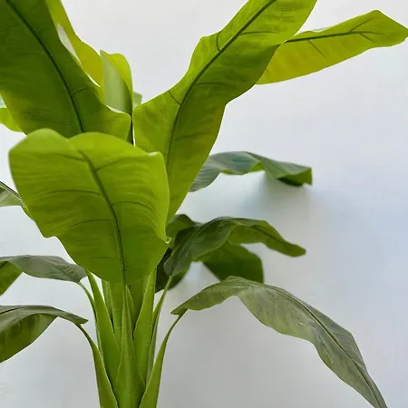 Holiday home Oasis De Confort Urbano 2 Plantas *