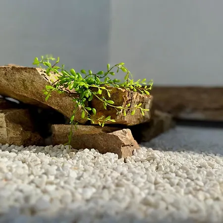 Oasis De Confort Urbano 2 Plantas *