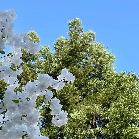 Oasis De Confort Urbano 2 Plantas *