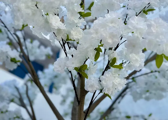 Oasis De Confort Urbano 2 Plantas * 比戈