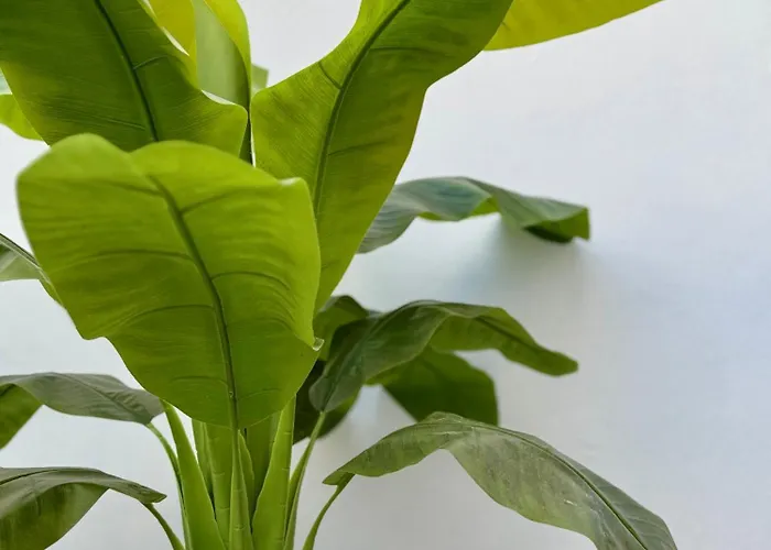 度假居 Oasis De Confort Urbano 2 Plantas *