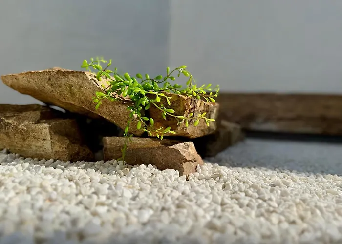 Oasis De Confort Urbano 2 Plantas *