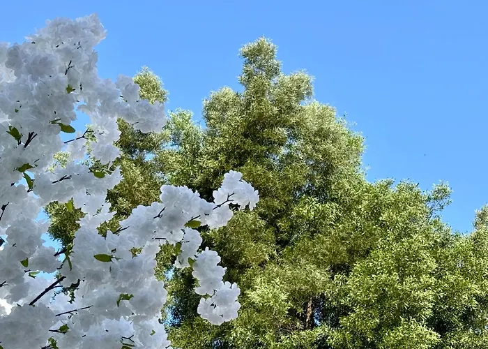 Oasis De Confort Urbano 2 Plantas *